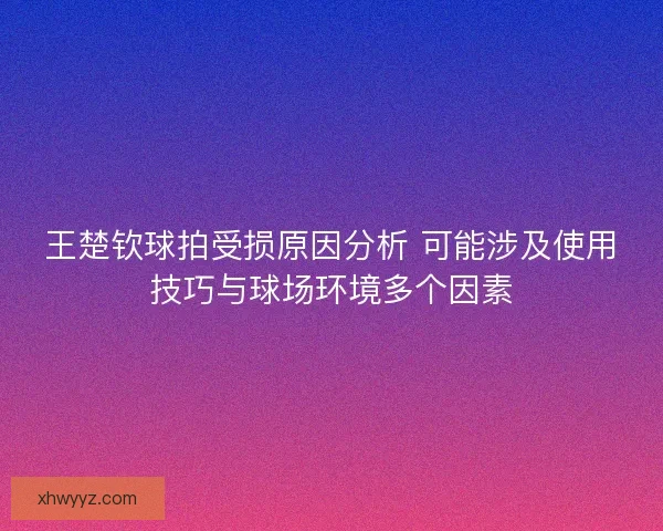 王楚钦球拍受损原因分析 可能涉及使用技巧与球场环境多个因素